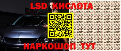 стафф Кингисепп