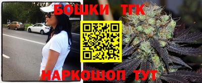 стафф Кингисепп