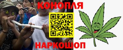 стафф Кингисепп
