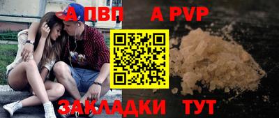 стафф Кингисепп