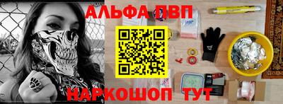 стафф Кингисепп
