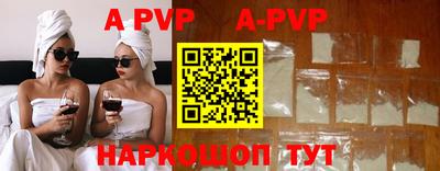 стафф Кингисепп