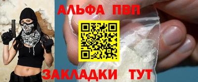 стафф Кингисепп