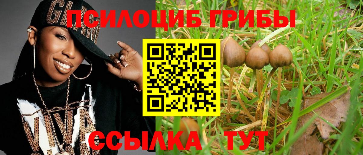 Галлюциногенные грибы Cubensis  Вход с VPN  Котельники  Галлюциногенные грибы мицелий 