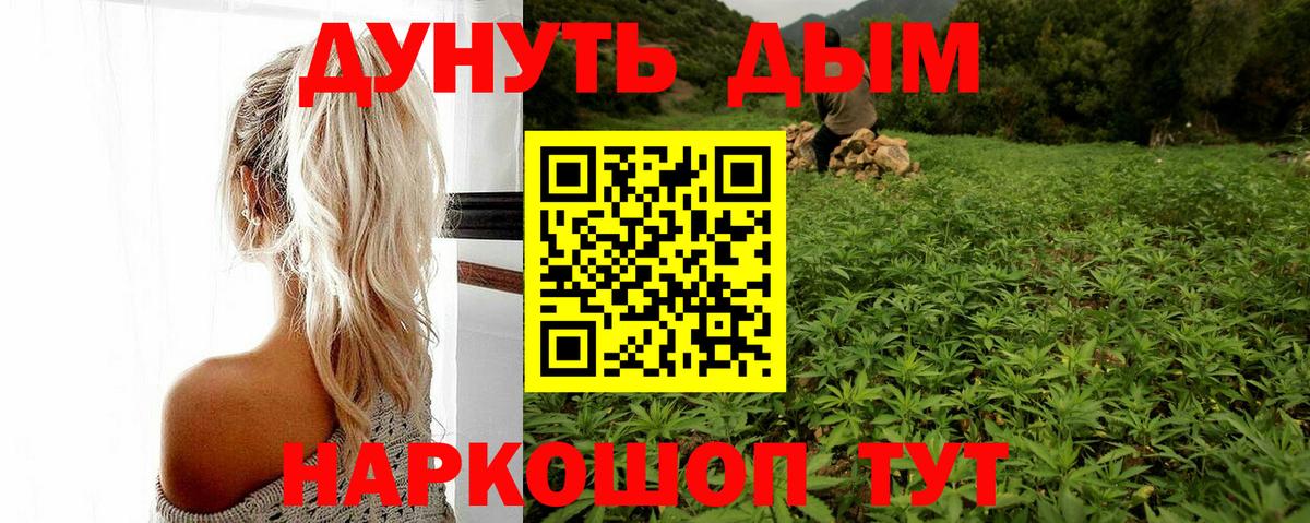 Бошки марихуана планчик  Бошки Шишки Bruce Banner  Конопля семена  Вход с VPN  Котельники  Бошки Шишки White Widow 